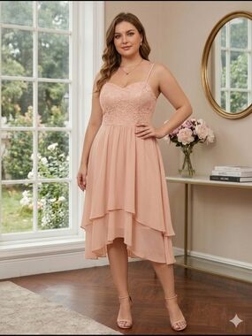 Lace Bodice Chiffon Layered Midi Dress - Blush Pink